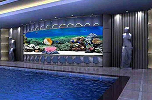 亚克力鱼缸养鱼好，还是玻璃鱼缸更好呢？悦龙阁水族小编给您分析