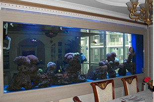 合肥大型鱼缸清洗好帮手-合肥悦龙阁水族用品有限公司