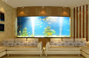 每当看到美人鱼在水里的时候都觉得好美，背后其实很艰辛