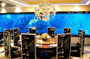 合肥超市海鲜池及饭店鱼缸的养水秘籍——合肥资深老师傅支招