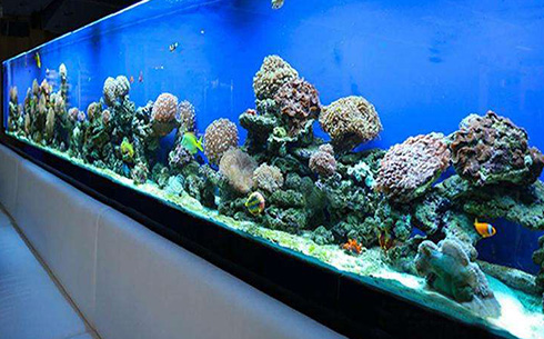 合肥鱼池假山也是有很多类型的，有中式、流水，西式、亭榭等