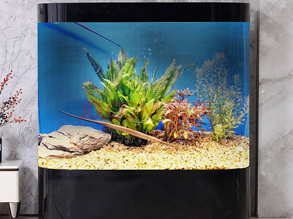 钢琴鱼缸